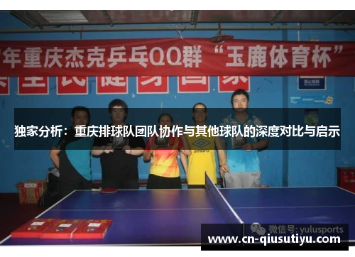 独家分析：重庆排球队团队协作与其他球队的深度对比与启示